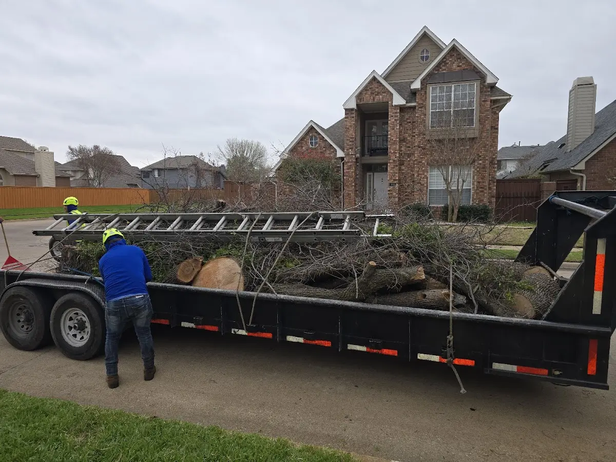 Expert Tree Removal with proper safety equipment in New Carlisle